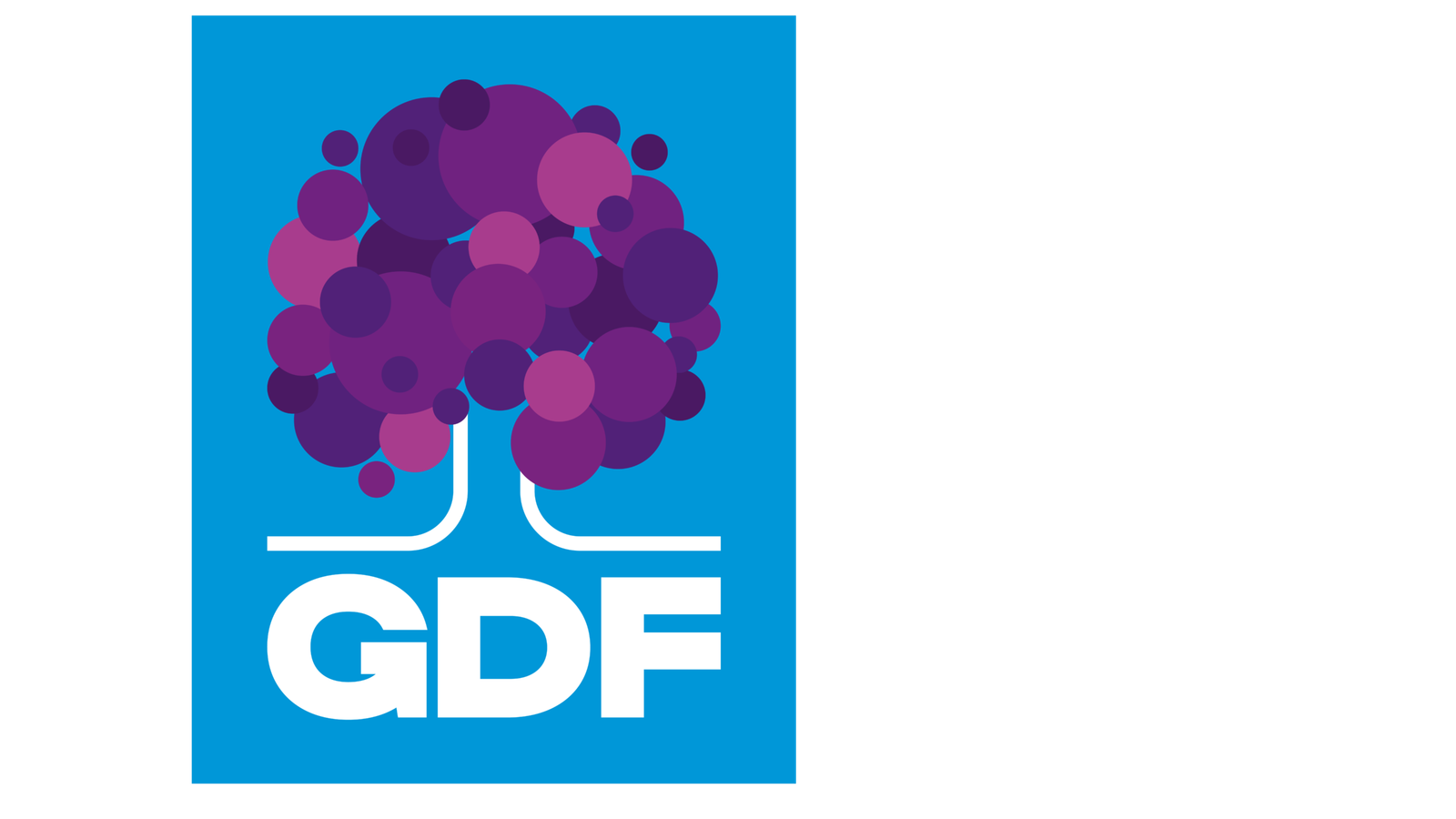 GDF 2026 4